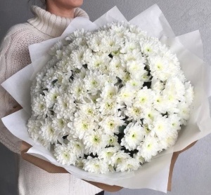 15 белых хризантем