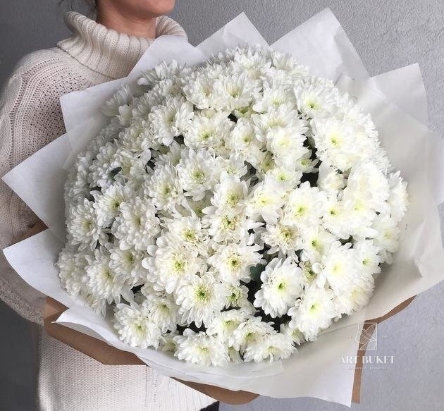 15 белых хризантем
