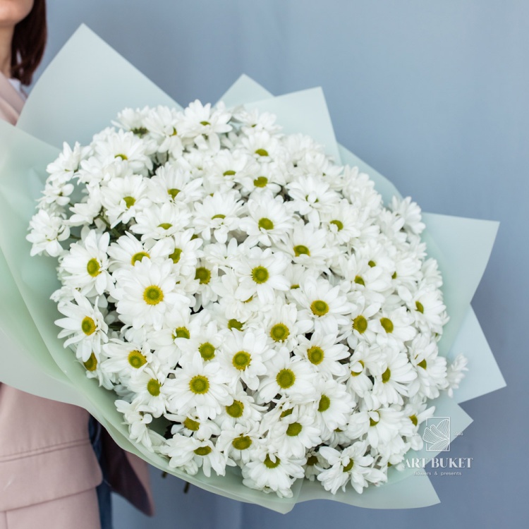 25 белых ромашковых хризантем