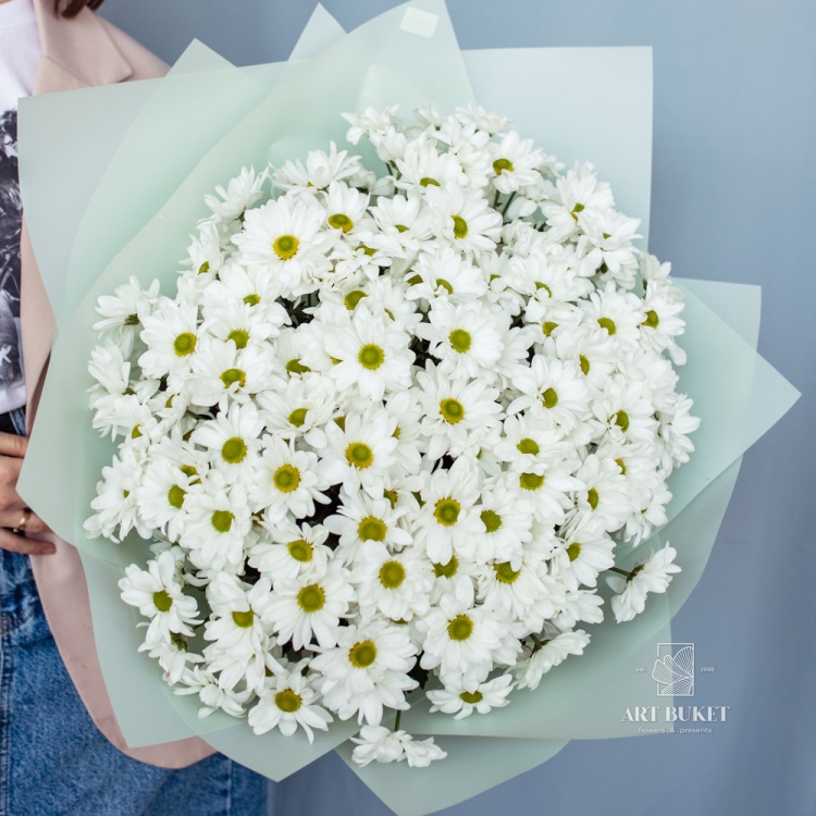 25 белых ромашковых хризантем