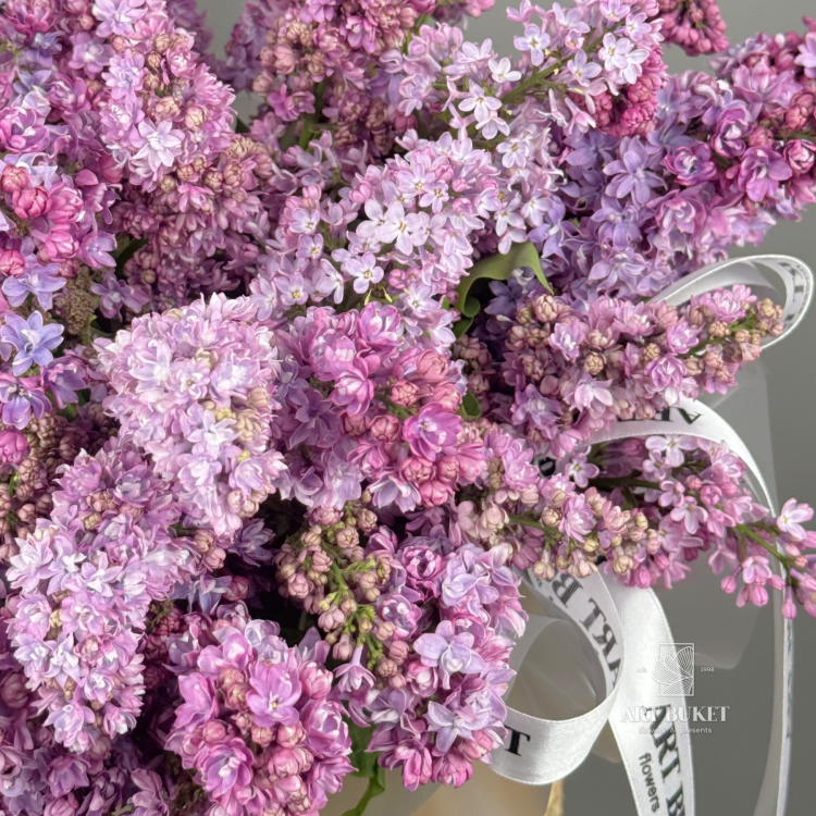 Букет Сирени S