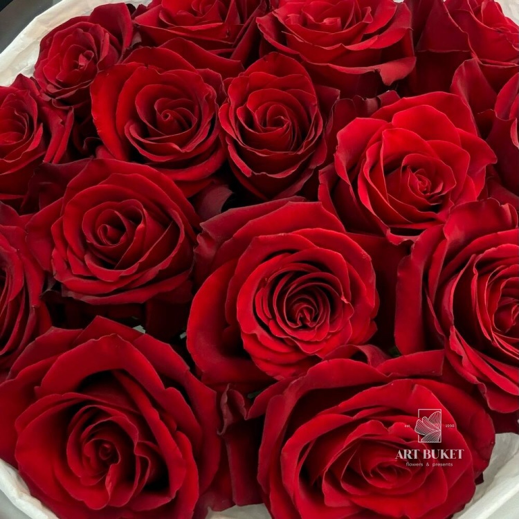 15 красных роз 40 см