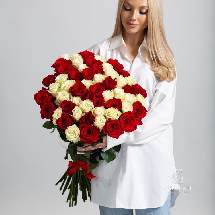 51 красно-белая роза