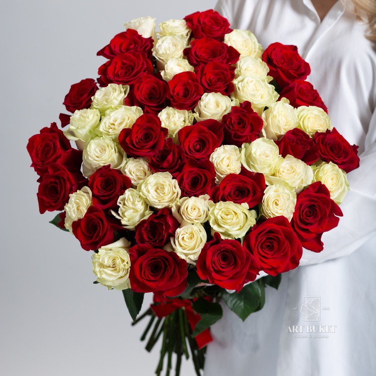 51 красно-белая роза