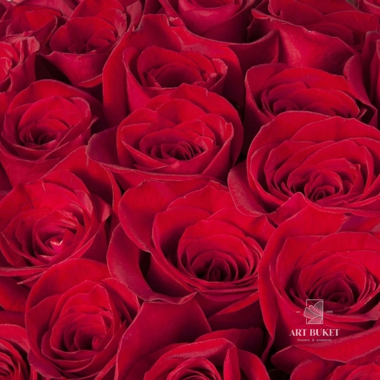 Роза красная 50 см