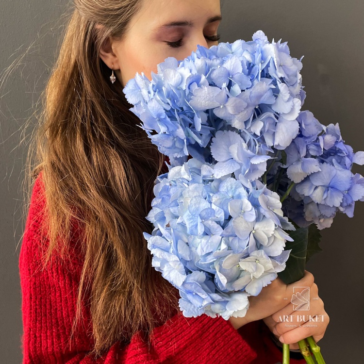 Гортензия микс