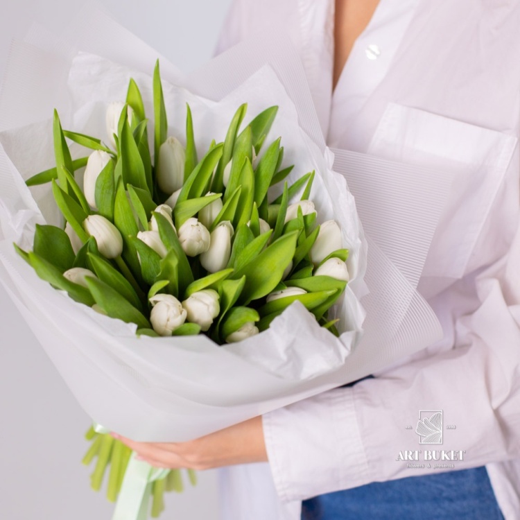 31 белый тюльпан