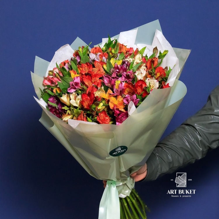 35 альстромерий