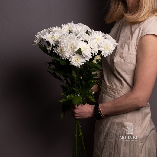 Хризантема кустовая микс