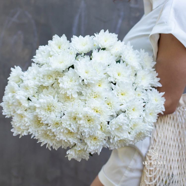 9 белых хризантем