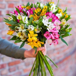 Альстромерия микс